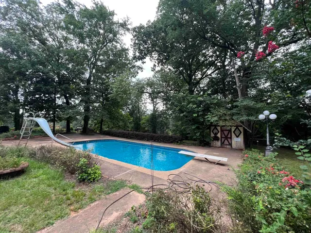 a view of a park with large trees