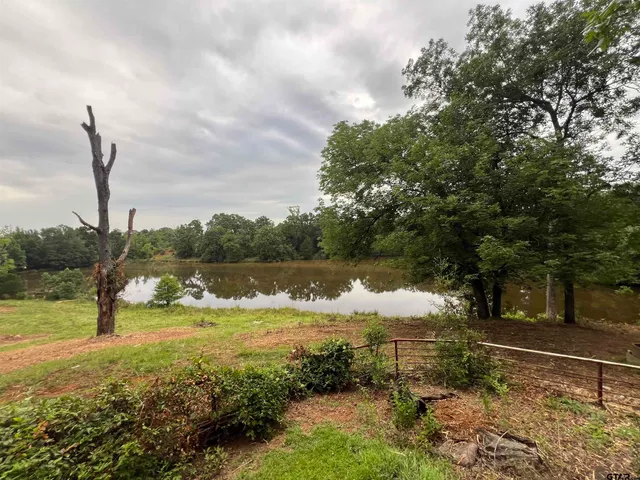 a view of a field of grass and trees