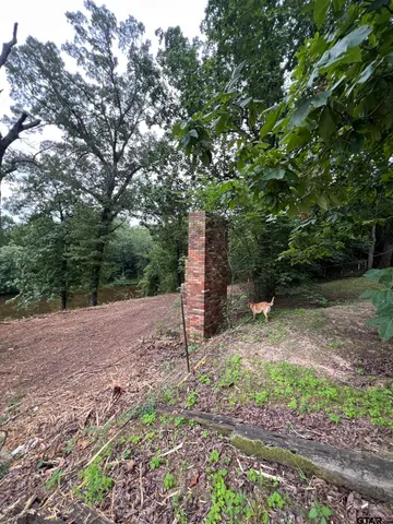 a view of a dry yard