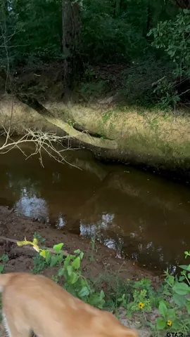 a view of a lake view