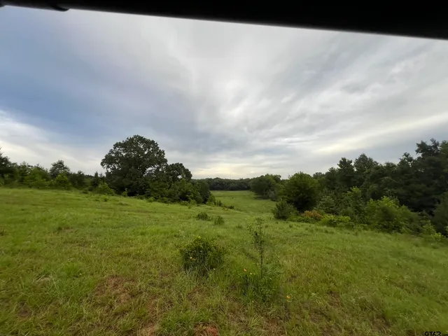 a view of a lake from a yard