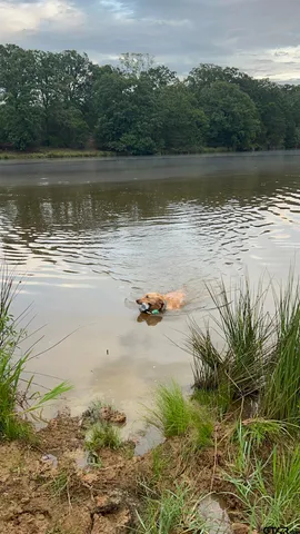 a view of a chair and table under an umbrella