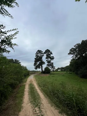a view of a lake with houses in background