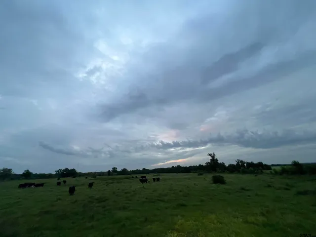 $1,950,000 | 12251 Fm 16 East, Winona, TX 75792