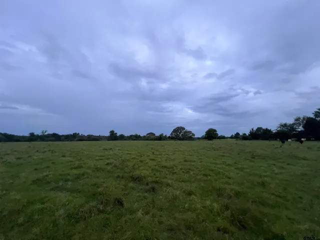 $1,950,000 | 12251 Fm 16 East, Winona, TX 75792