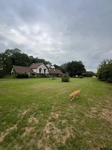 a view of a field with an ocean and trees in the background