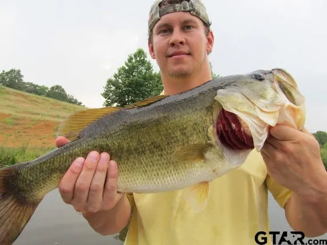 a view of swimming pool with a garden and outdoor seating
