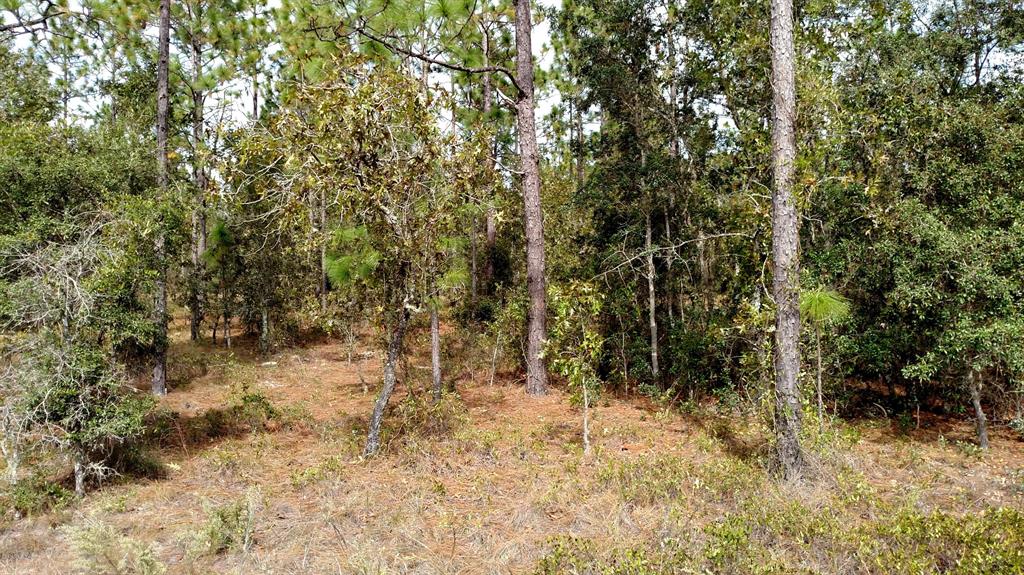 Tbd Southwest Edgewater Boulevard Dunnellon, FL 34433 - Photo 1 of 1 IMG_20161027_131837992