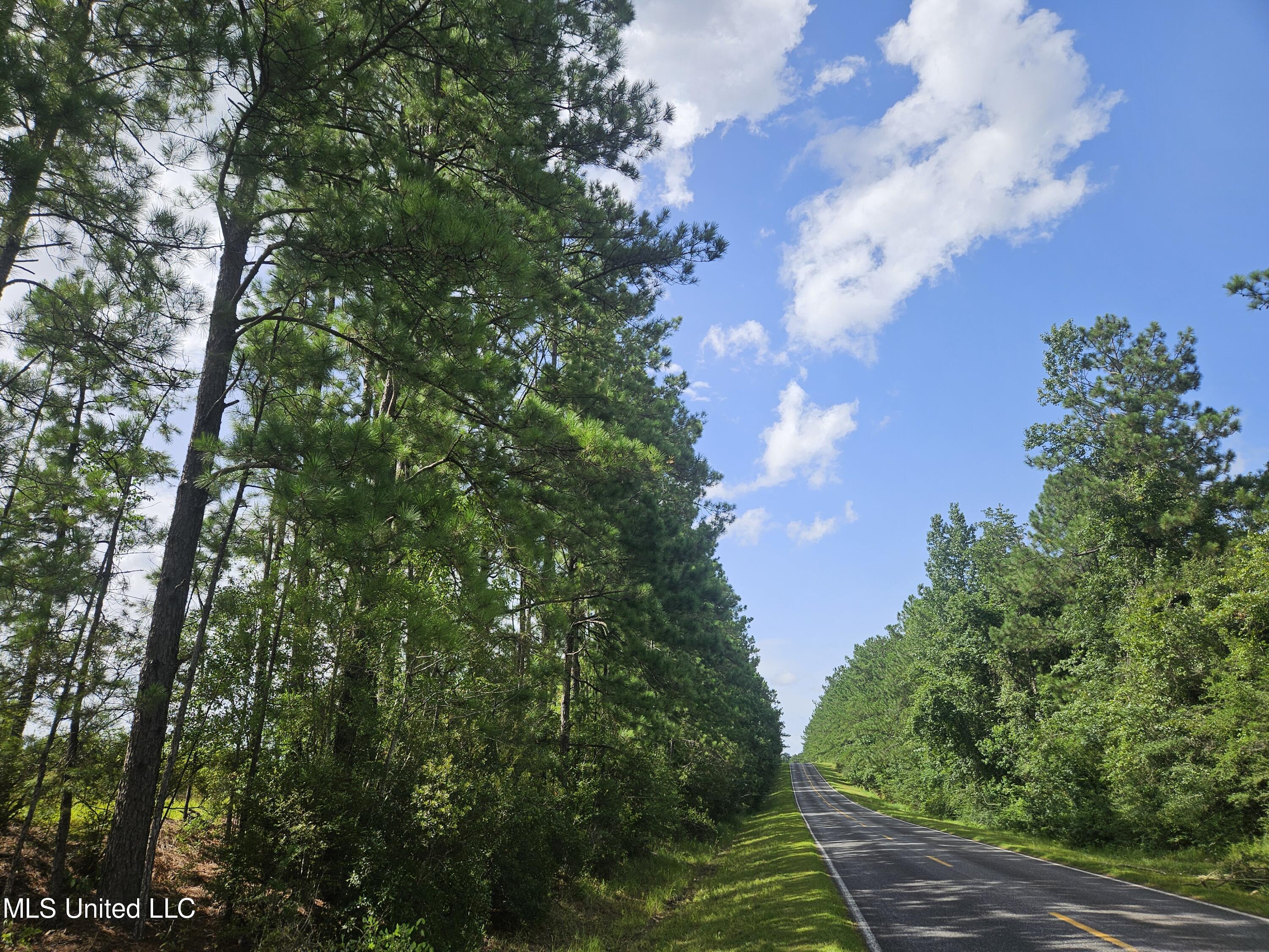 23150 Tally Shaw Road Perkinston, MS 39573 - Photo 4 of 8 Talley Shaw Road Northward