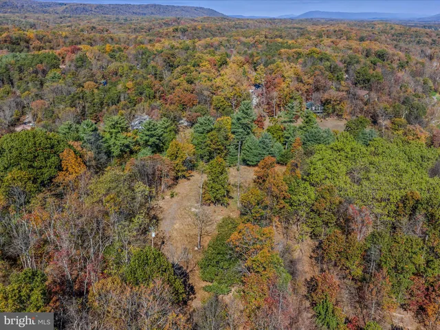 a view of a city with lush green forest