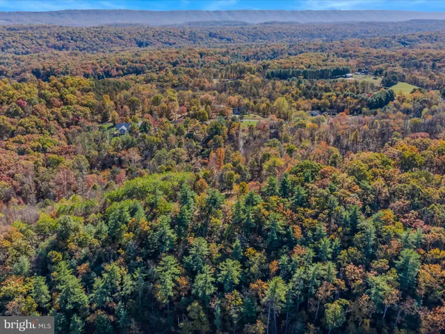 an aerial view of residential houses with outdoor space and trees
