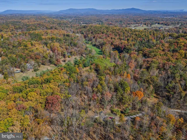 a view of a lush green forest with trees and houses