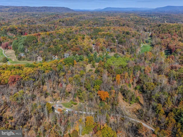a view of a city with lush green forest