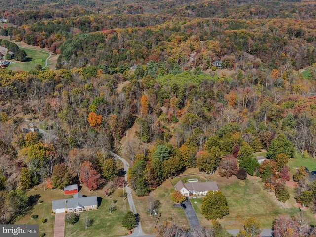 a view of a city with lush green forest
