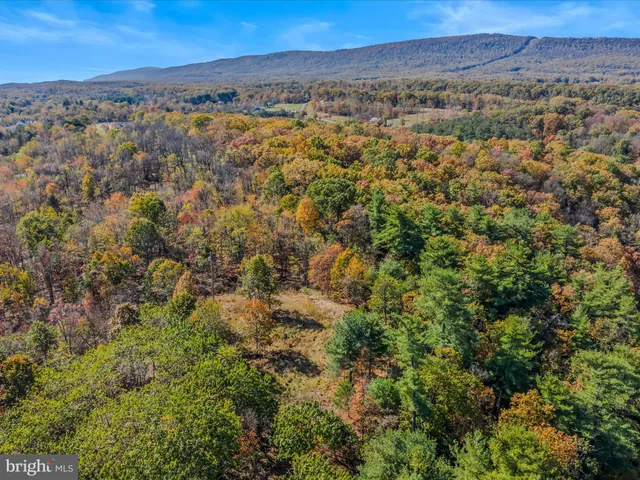 an aerial view of residential house and green space