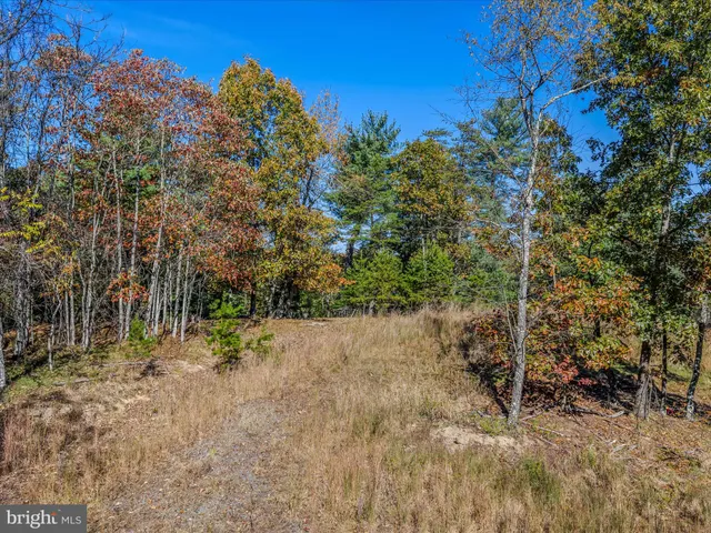 a view of a plants with trees in the background