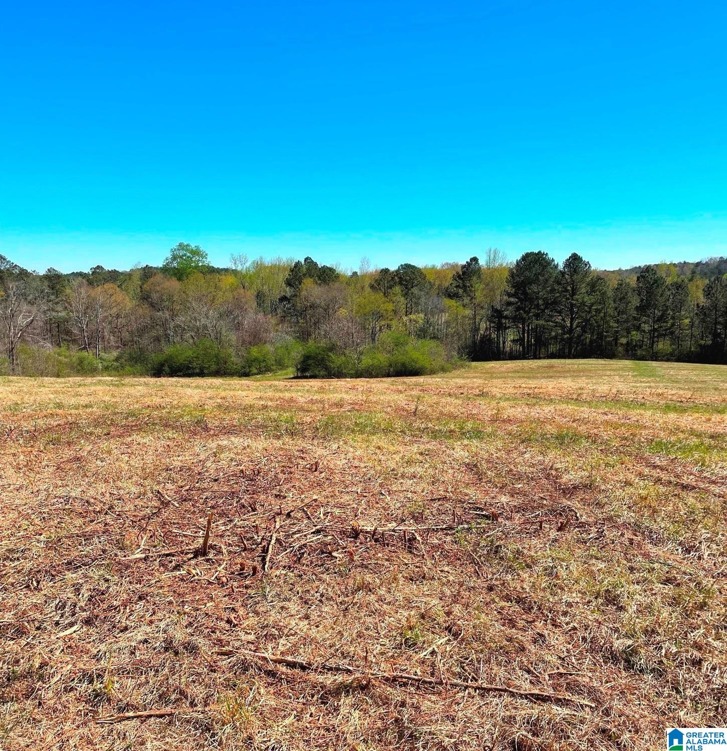 State Lake Road, Unit 20 Delta, AL 36258 - Photo 3 of 10