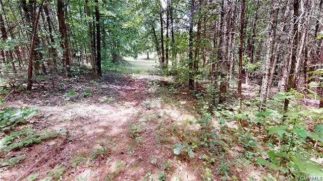 162 Community House Road Kents Store, VA 23084 - Photo 36 of 42