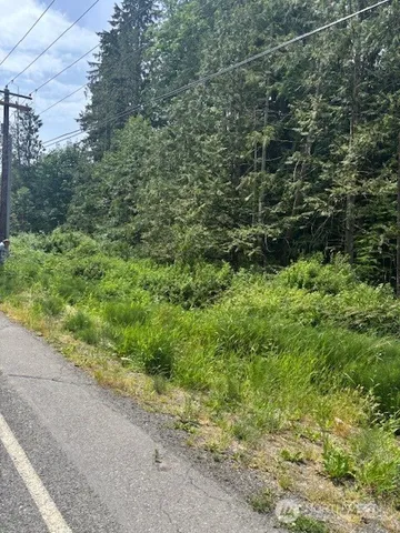 a view of a forest with a street