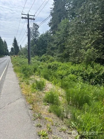 a view of a yard with plants and a large tree