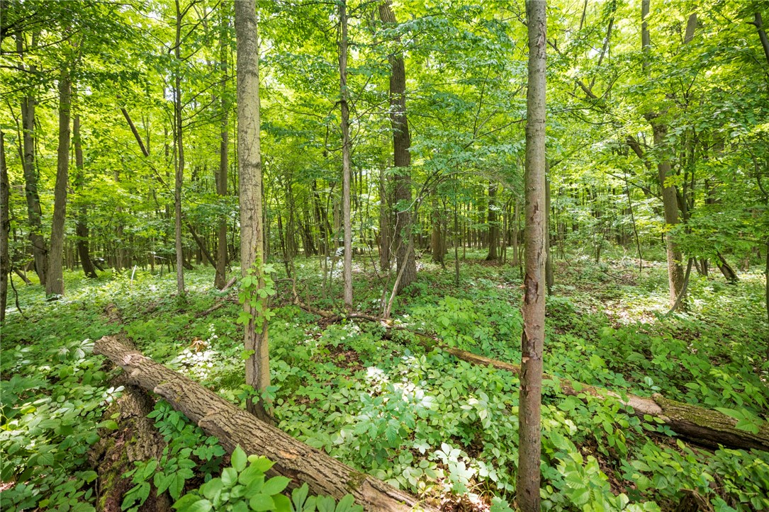 Rush Scottsville Road Rush, NY 14543 - Photo 8 of 12