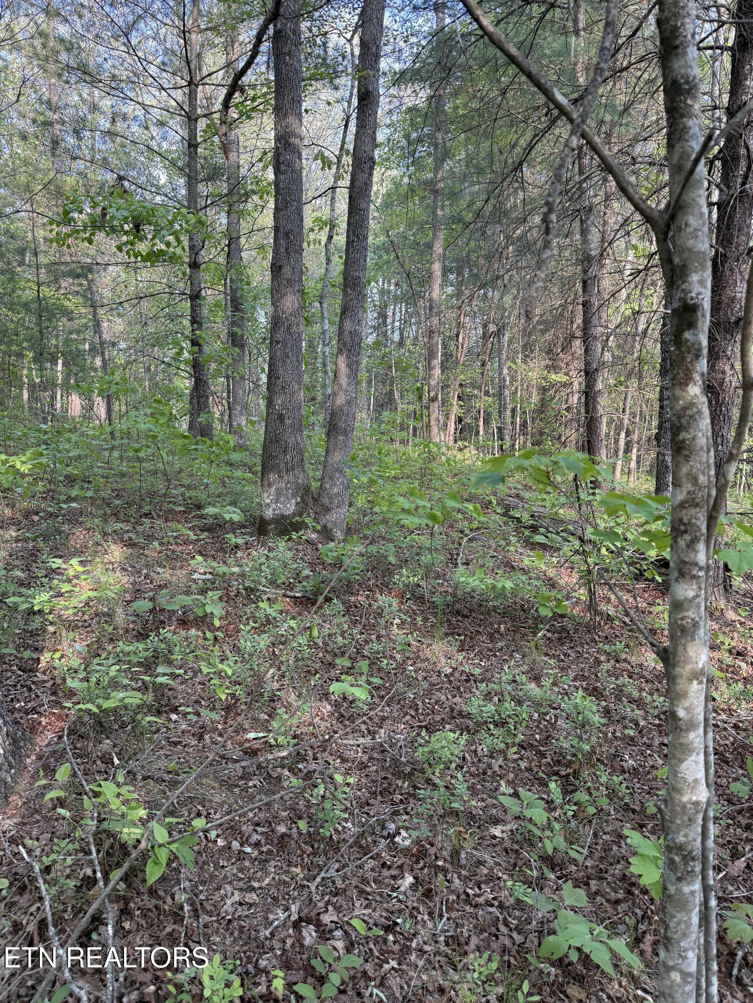0 Genesis Road Crossville, TN 38555 - Photo 5 of 15