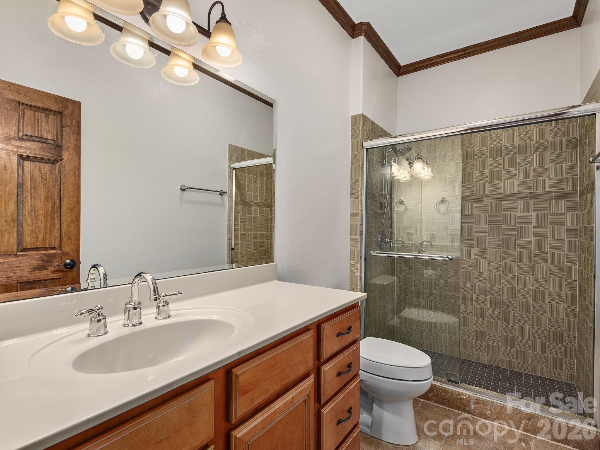 248 Wisdom Cove Road Flat Rock, NC 28731 - Photo 41 of 48 a bathroom with a sink a toilet and shower