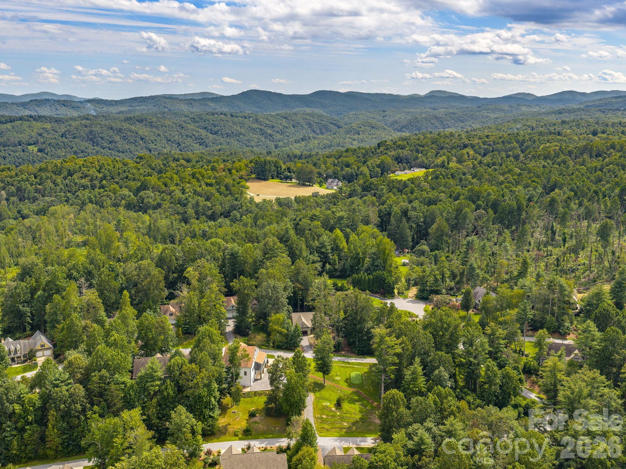 248 Wisdom Cove Road Flat Rock, NC 28731 - Photo 47 of 48 a view of mountain with lake view