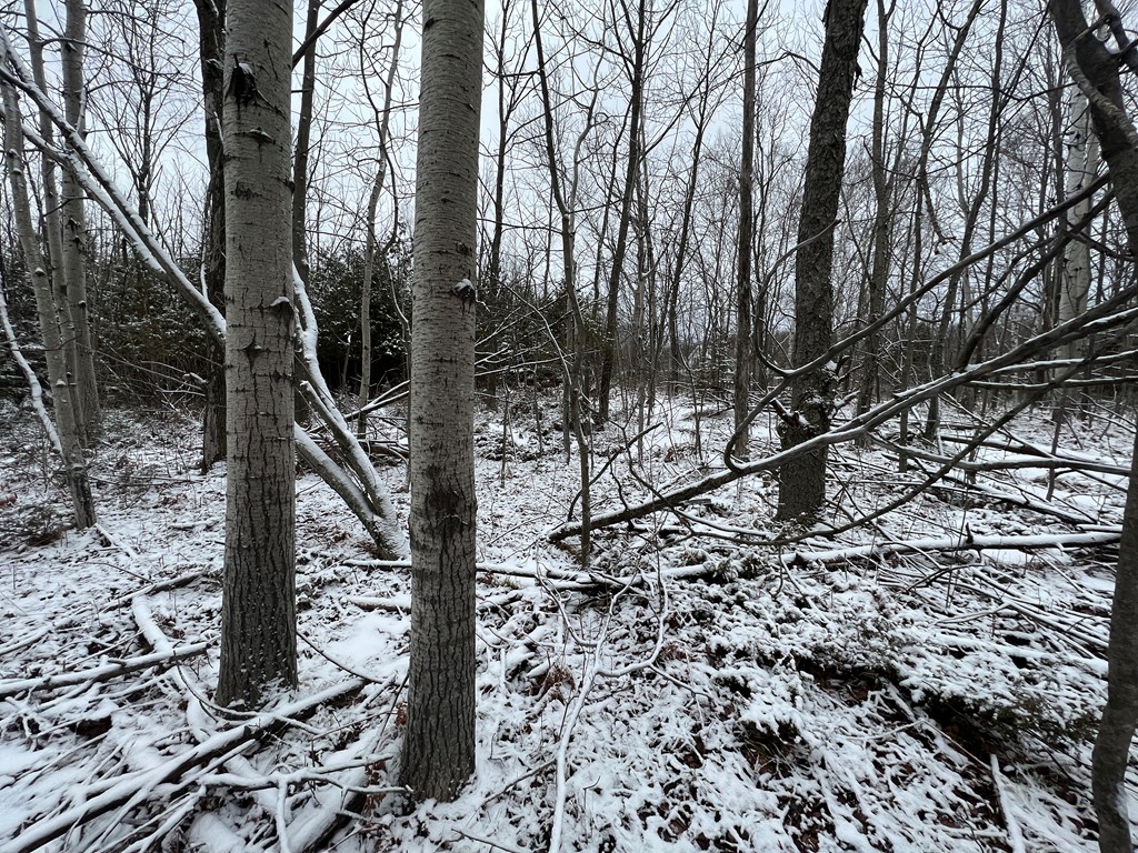 Tbd Juddville Hill Road Fish Creek, WI 54212 - Photo 20 of 31