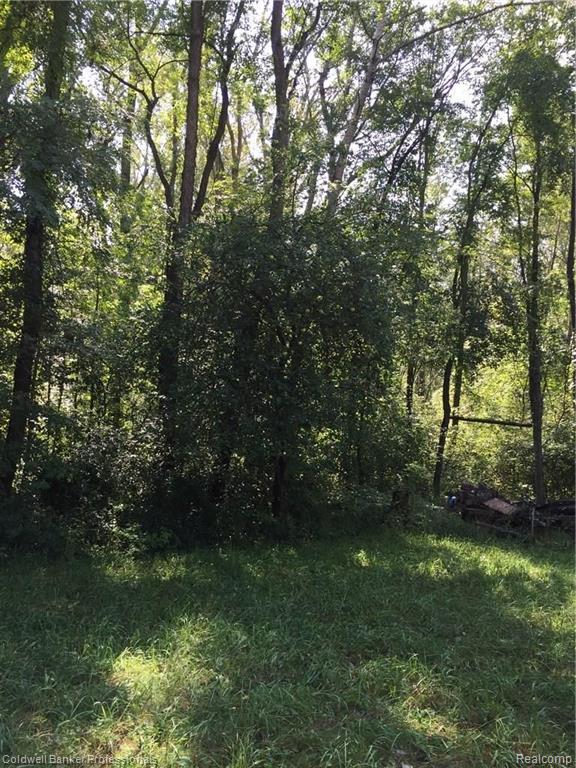 0 Chapinenglehart Road Deford, MI 48729 - Photo 8 of 15