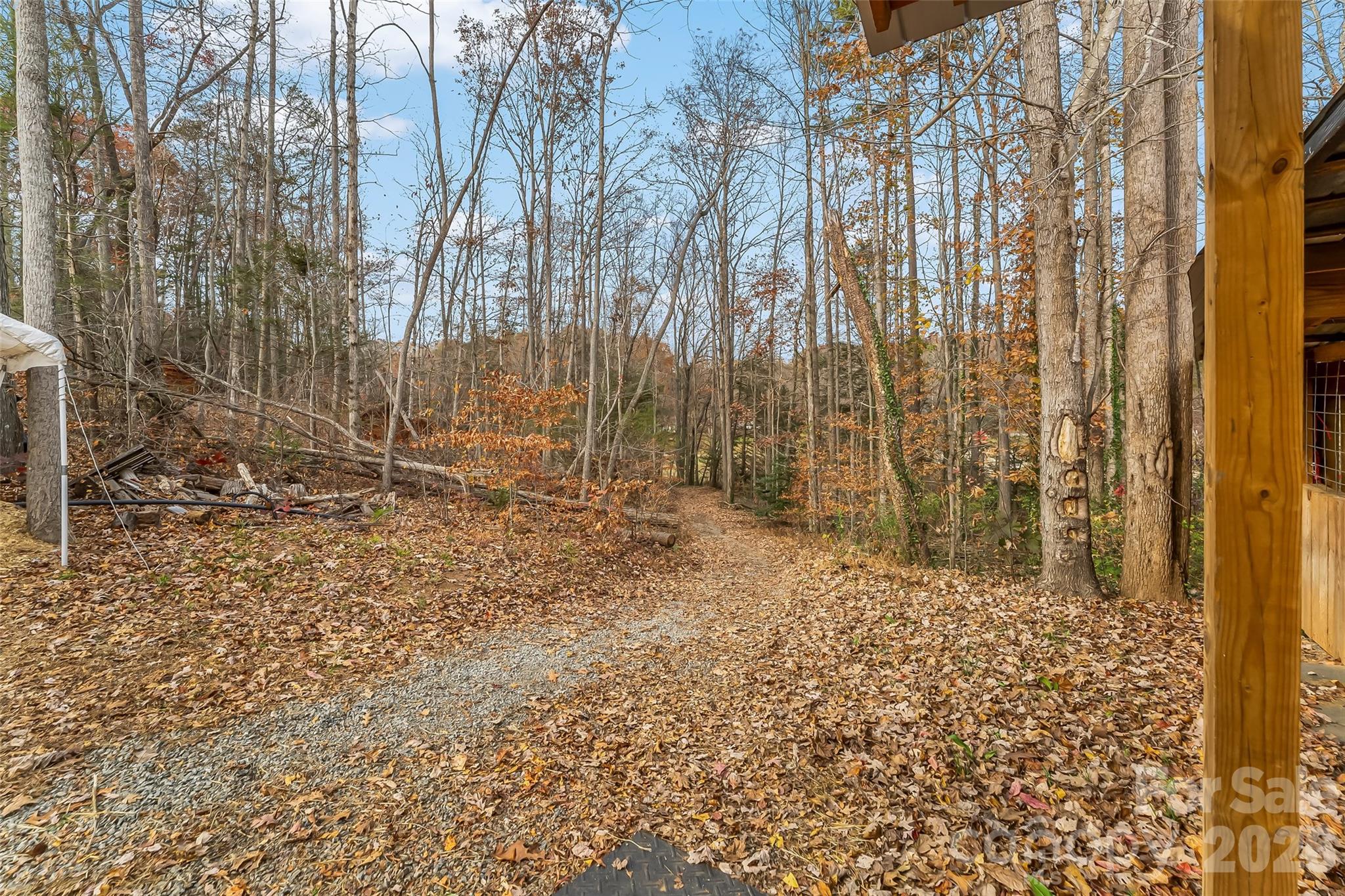 1654 Goose Creek Road Marion, NC 28752 - Photo 39 of 46