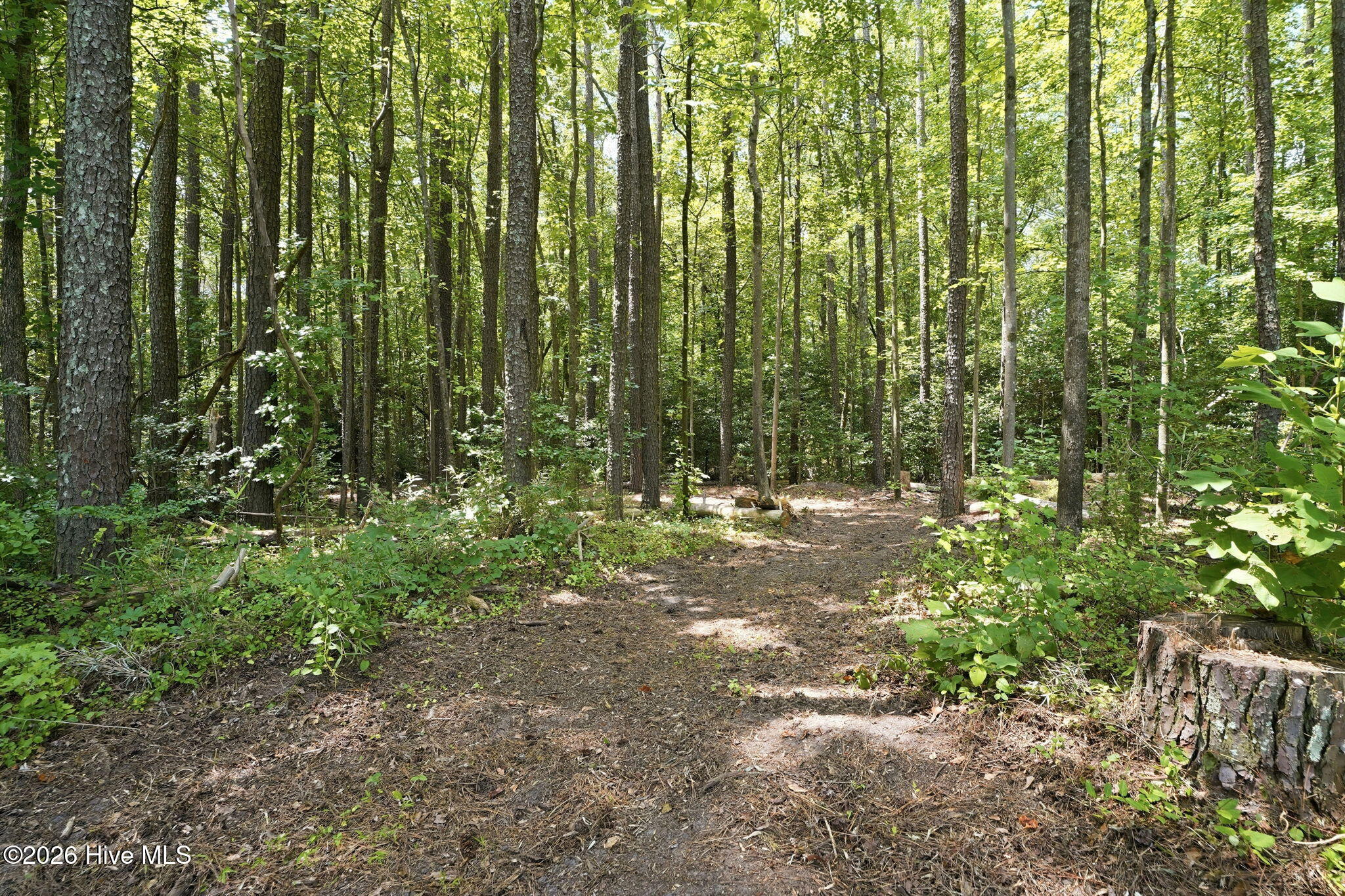 4800 Eatmon Road Bailey, NC 27807 - Photo 62 of 63