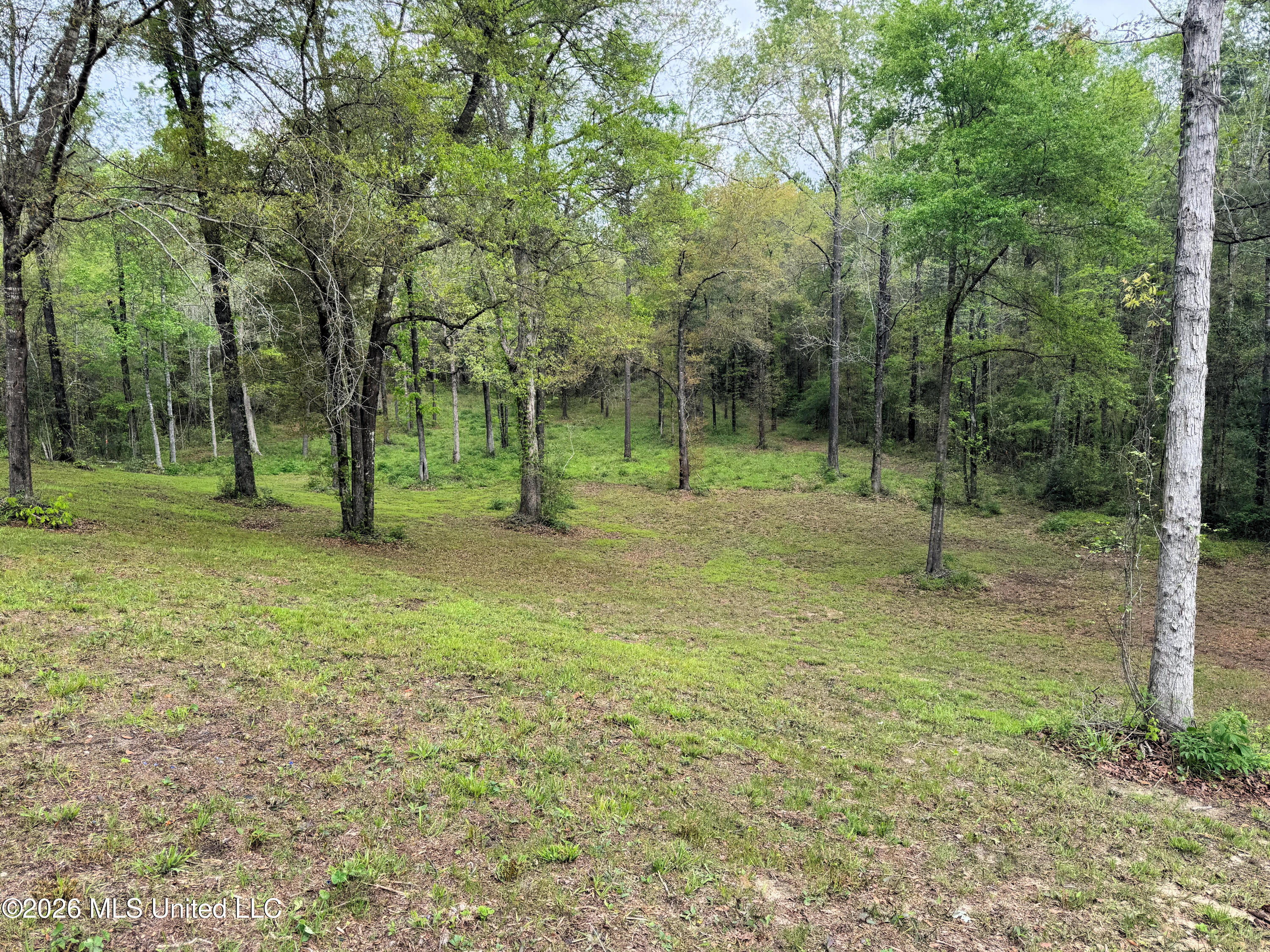 85 Baughman Road Poplarville, MS 39470 - Photo 6 of 27 IMG_7597