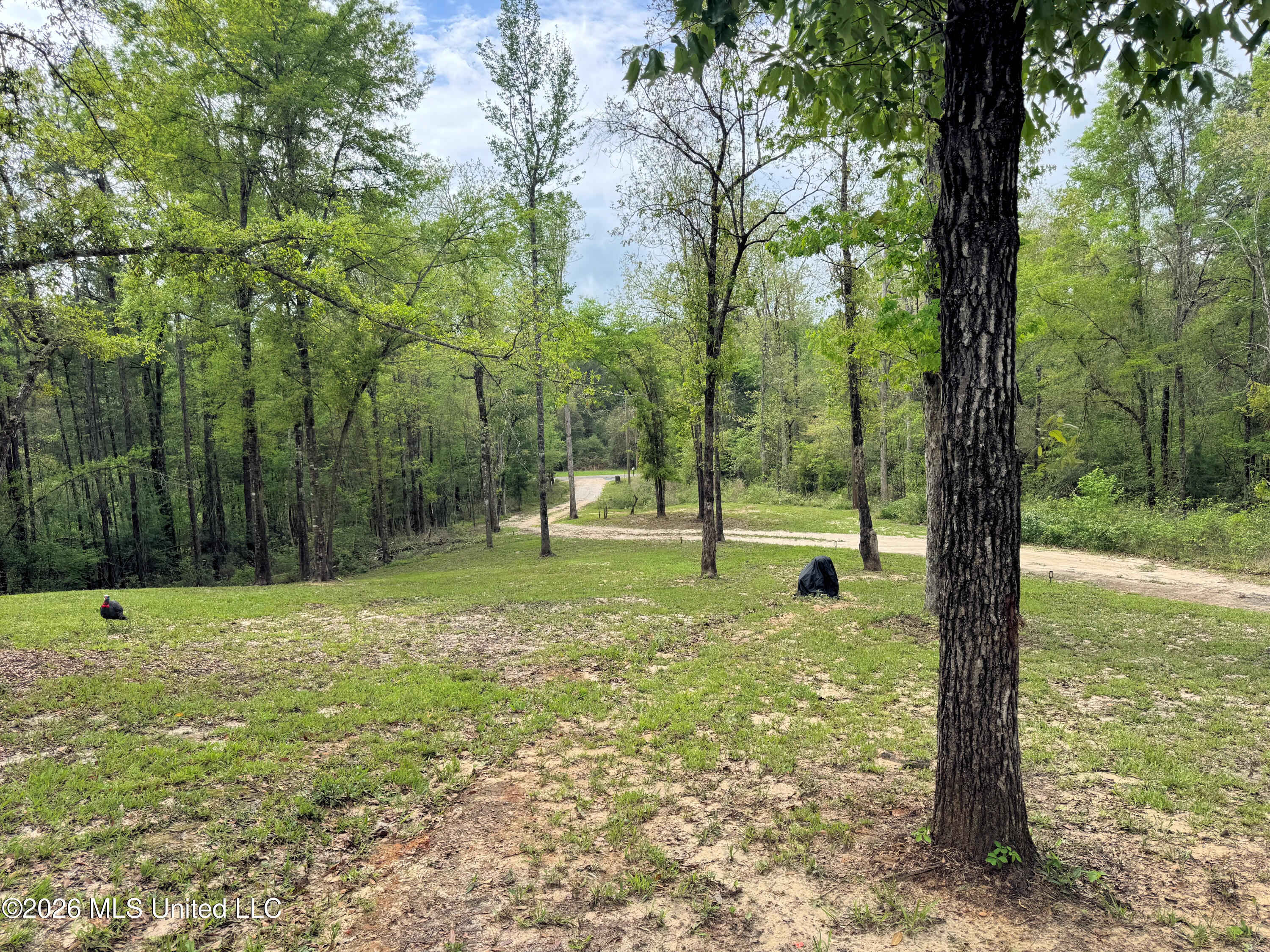85 Baughman Road Poplarville, MS 39470 - Photo 7 of 27 IMG_7599