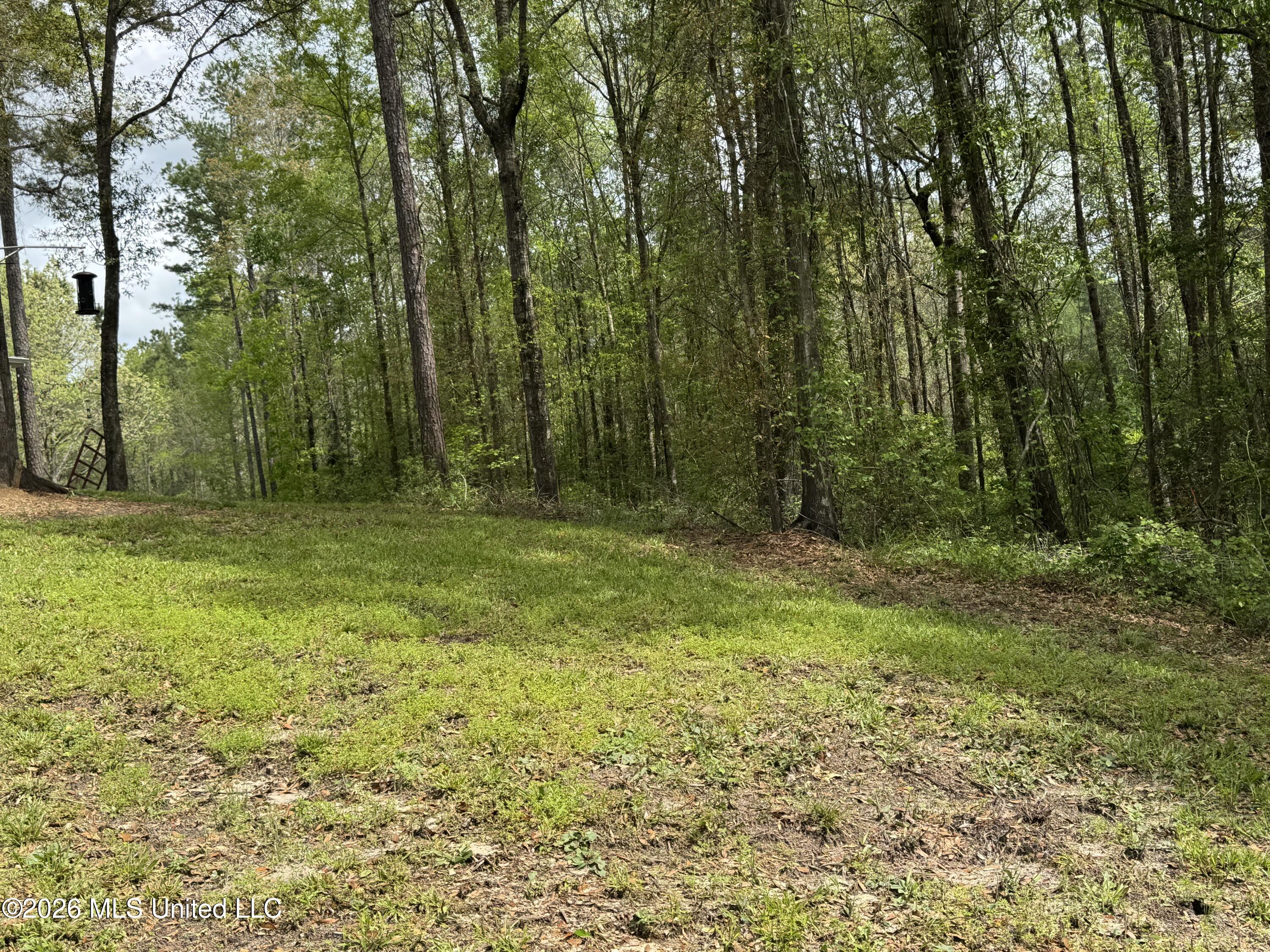 85 Baughman Road Poplarville, MS 39470 - Photo 8 of 27 IMG_7602