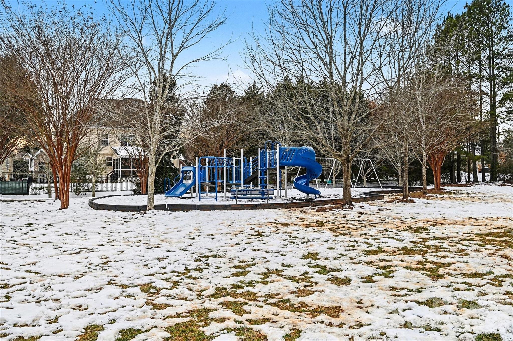2213 Iron Works Drive Clover, SC 29710 - Photo 42 of 46 a house with trees covered with snow in front of house