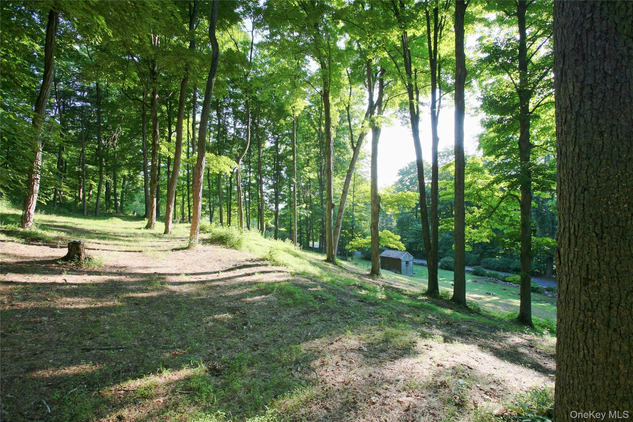 Pond Road Rhinebeck, NY 12572 - Photo 17 of 17 Gallery Image 17
