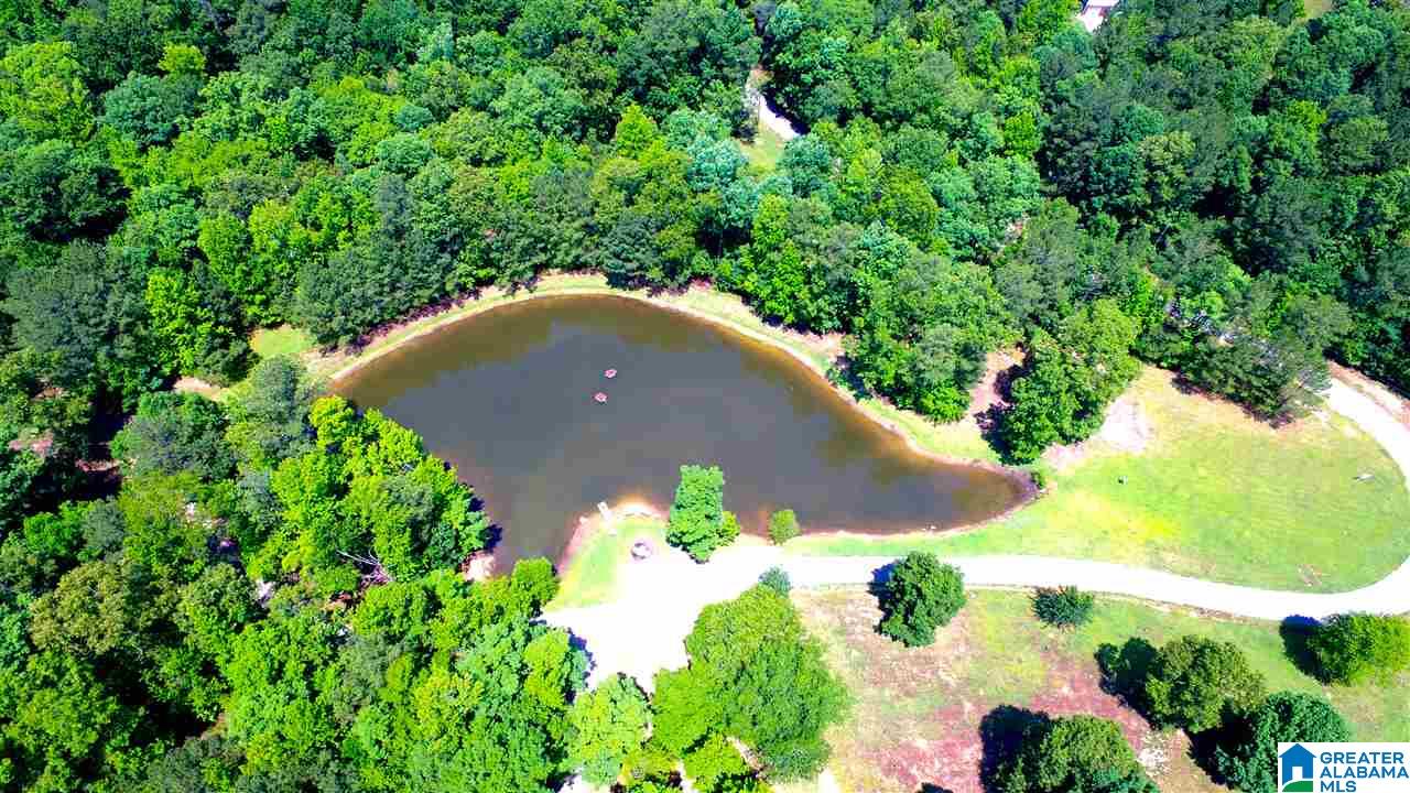 95 Brookview Lane Helena, AL 35080 - Photo 3 of 49
