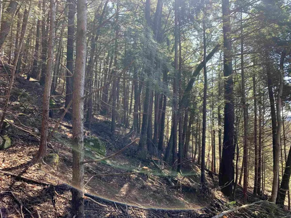 $114,900 | Map3-lot9 Scotland Road, Winchester, NH 03470