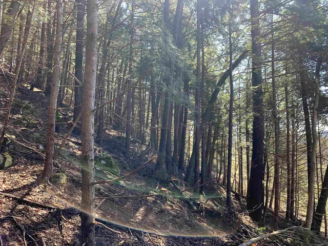 $114,900 | Map3-lot9 Scotland Road, Winchester, NH 03470