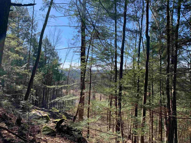 $114,900 | Map3-lot9 Scotland Road, Winchester, NH 03470