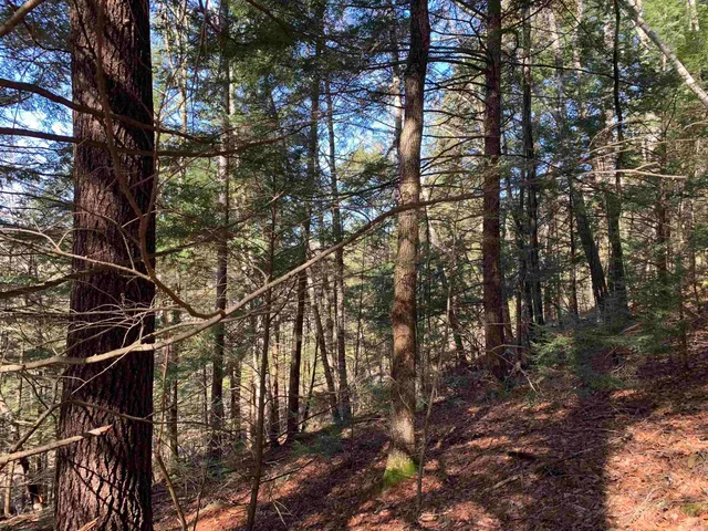 $114,900 | Map3-lot9 Scotland Road, Winchester, NH 03470