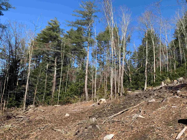 $114,900 | Map3-lot9 Scotland Road, Winchester, NH 03470