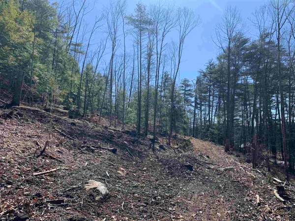 $114,900 | Map3-lot9 Scotland Road, Winchester, NH 03470