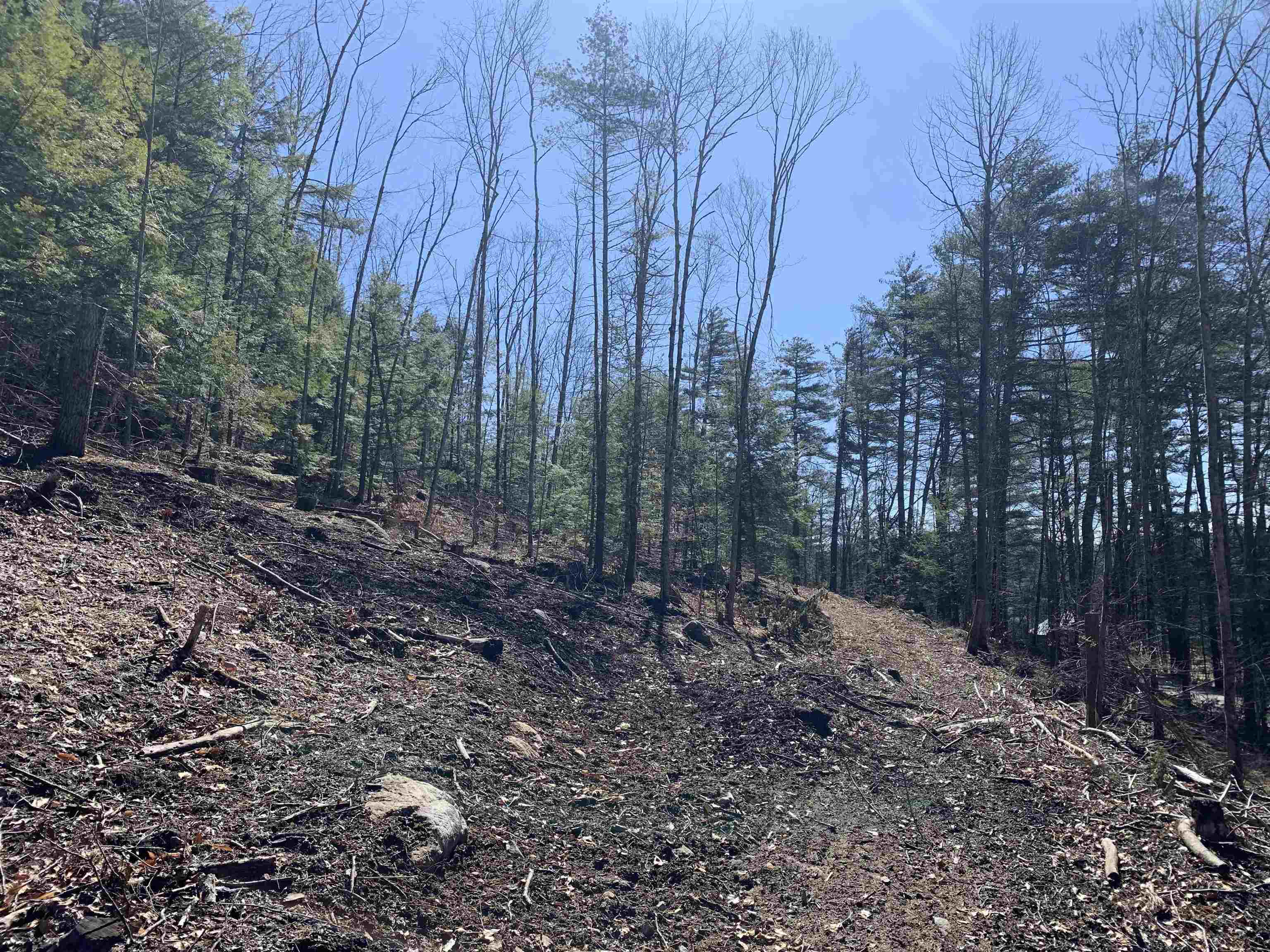 Map3-lot9 Scotland Road Winchester, NH 03470 - Photo 5 of 18