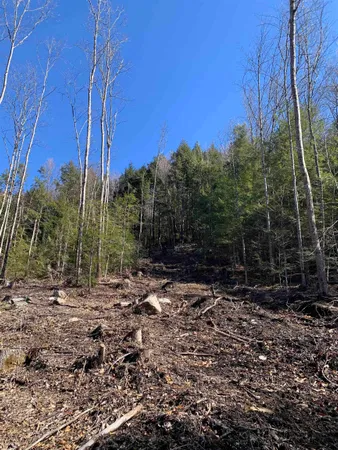 $114,900 | Map3-lot9 Scotland Road, Winchester, NH 03470