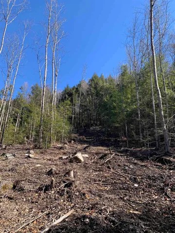 $114,900 | Map3-lot9 Scotland Road, Winchester, NH 03470