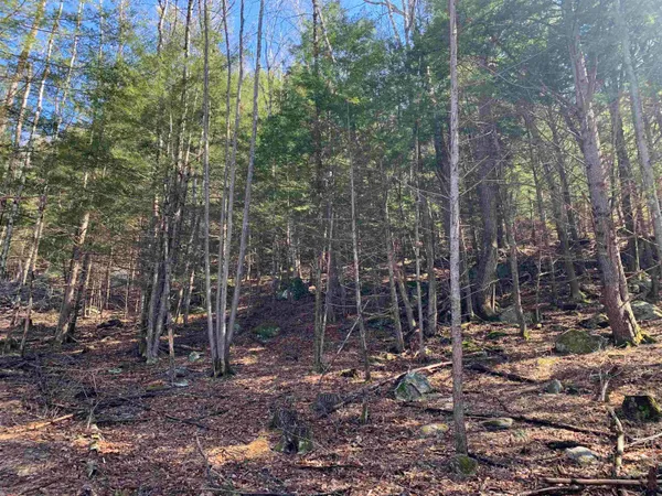 $114,900 | Map3-lot9 Scotland Road, Winchester, NH 03470
