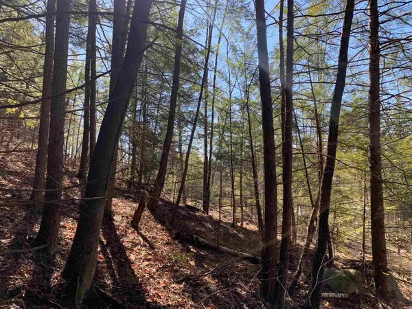 $114,900 | Map3-lot9 Scotland Road, Winchester, NH 03470