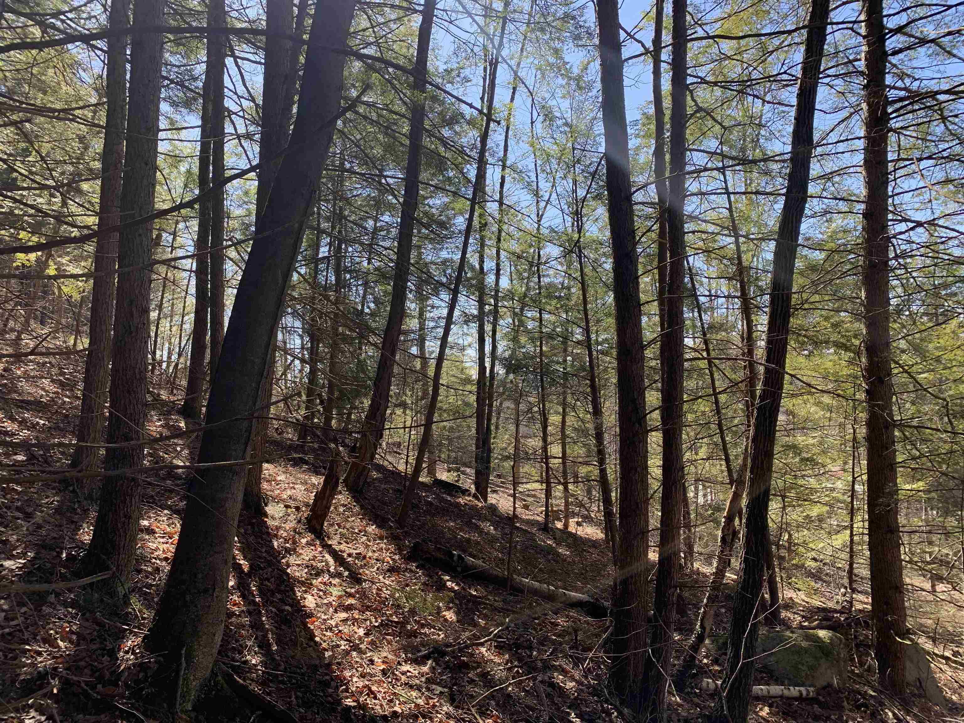 Map3-lot9 Scotland Road Winchester, NH 03470 - Photo 9 of 18